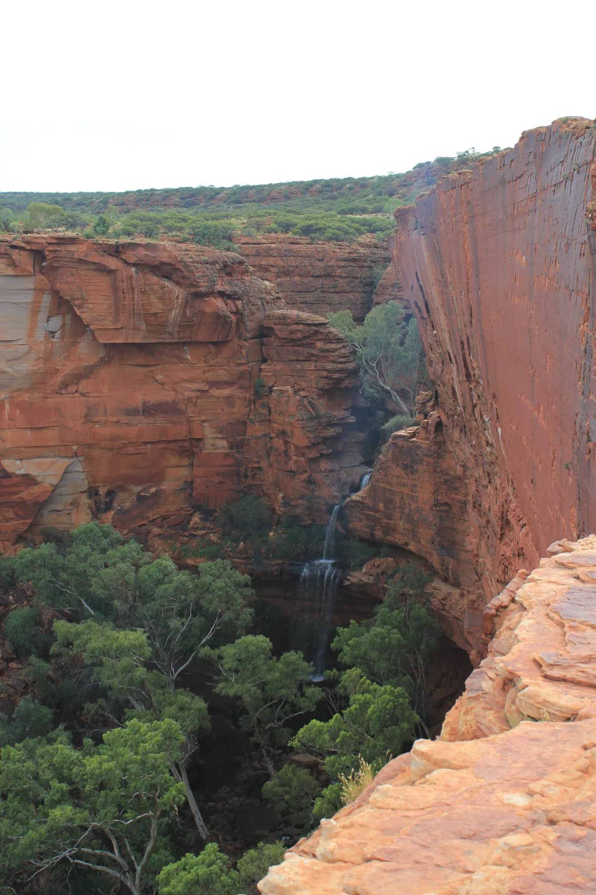 Sheer red walls of Kings Canyon